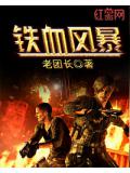 鐵血風暴