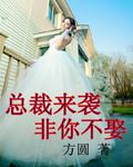 總裁來襲，非你不娶
