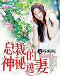 總裁的神祕逃妻