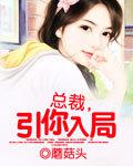 總裁，引你入局