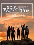燒不盡的青春
