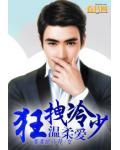 狂拽冷少溫柔愛