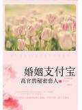 高官的祕密戀人:婚姻支付寶