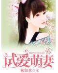 試愛萌妻