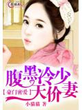 豪門密愛：腹黑冷少天價妻