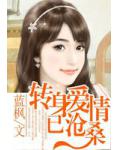 轉身愛情已滄桑