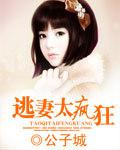 逃妻太瘋狂