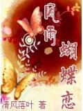 風雨蝴蝶戀