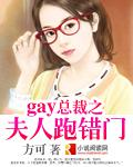 gay總裁之夫人跑錯門