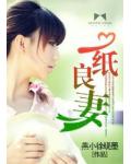 一紙良妻