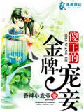 傻王的金牌寵妾