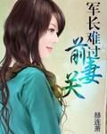 【完】軍長難過前妻關