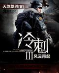 冷刺3之風雲再起