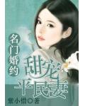 名門婚約：甜寵平民妻