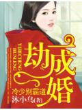 一劫成婚,冷少別霸道