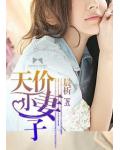 天價小妻子