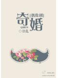 奇婚偶像劇
