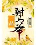 一品駙馬爺