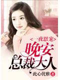 一夜恩寵：晚安，總裁大人