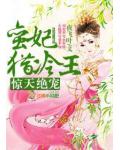 驚天絕寵，蠻妃獵冷王