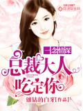 一念情深：總裁大人吃定你