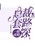 一撩成婚:總裁套路深