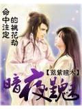 註定的桃花劫之暗夜星魅