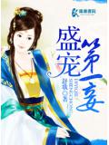 盛寵第一妾
