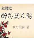 紅樓之醉臥美人膝