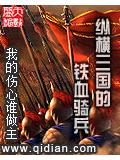 縱橫三國的鐵血騎兵