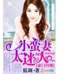 豪門閃婚，小蠻妻太迷人