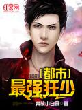 都市最強狂少