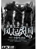 重生之風起民國2