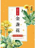 金盞花