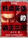 鐵血英雄的霸王三國
