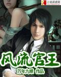 風流官王