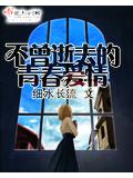 不曾逝去的青春愛情