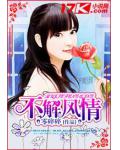 不解風情
