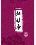 紅樓夢