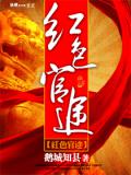 紅色官途