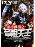 都市縱橫之草根天王