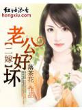 二嫁:老公,好壞!