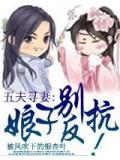 五夫尋妻:娘子別反抗!