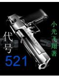 代號521