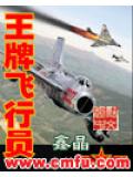 王牌飛行員